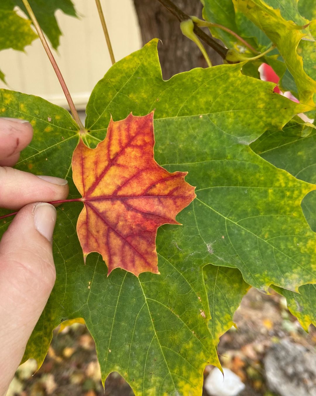 Seasons Will Change & So Will You